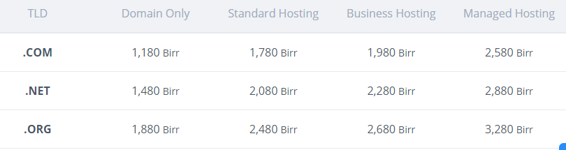 yegara web hosting price